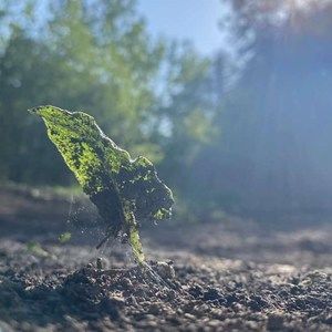 Meet your Posher, Jocelyn